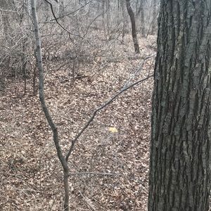 Meet your Posher, Corey